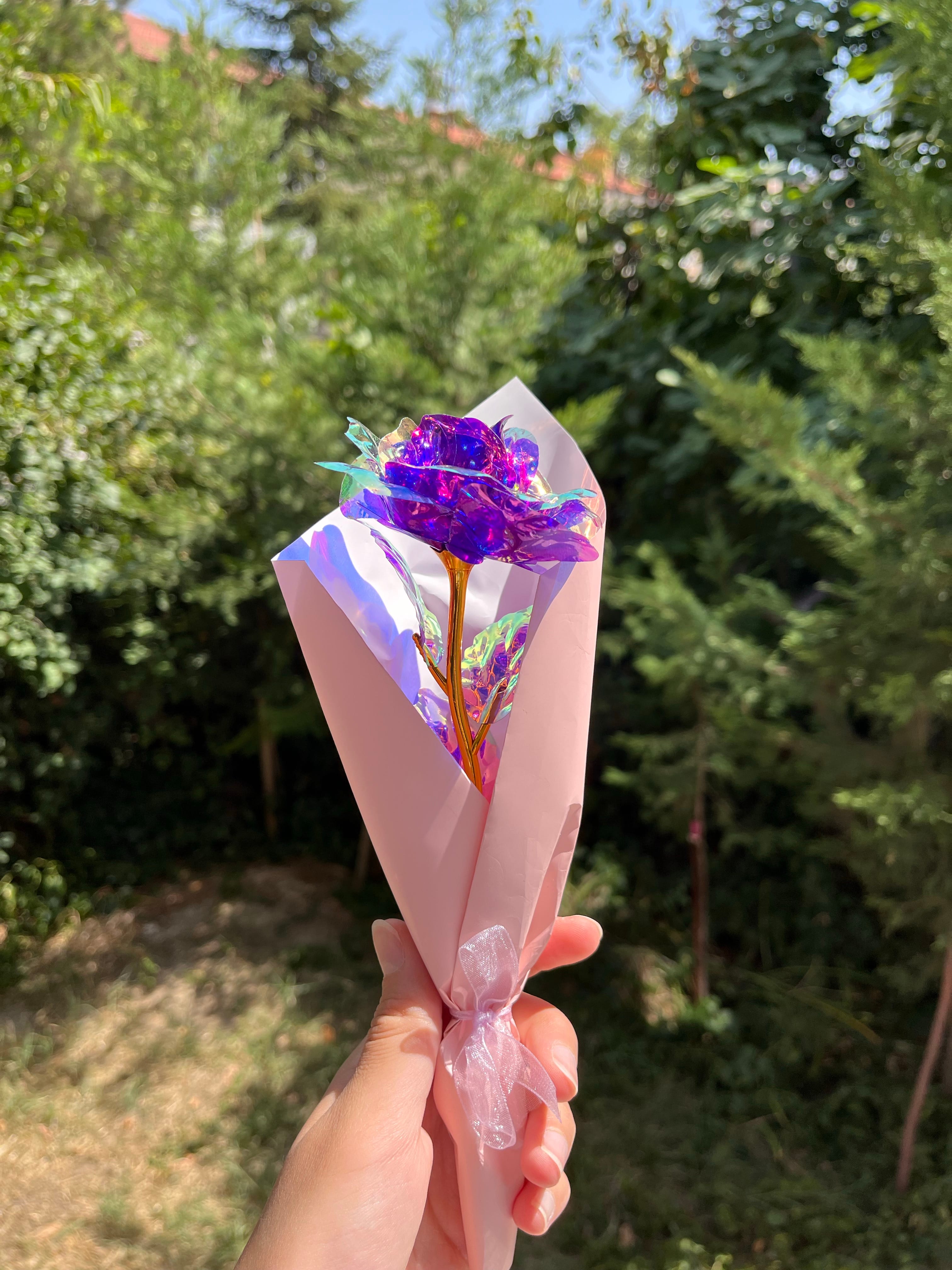 Pembe Masal sonsuzluk gülü | Gökyüzündeki yıldızlar hediye seti