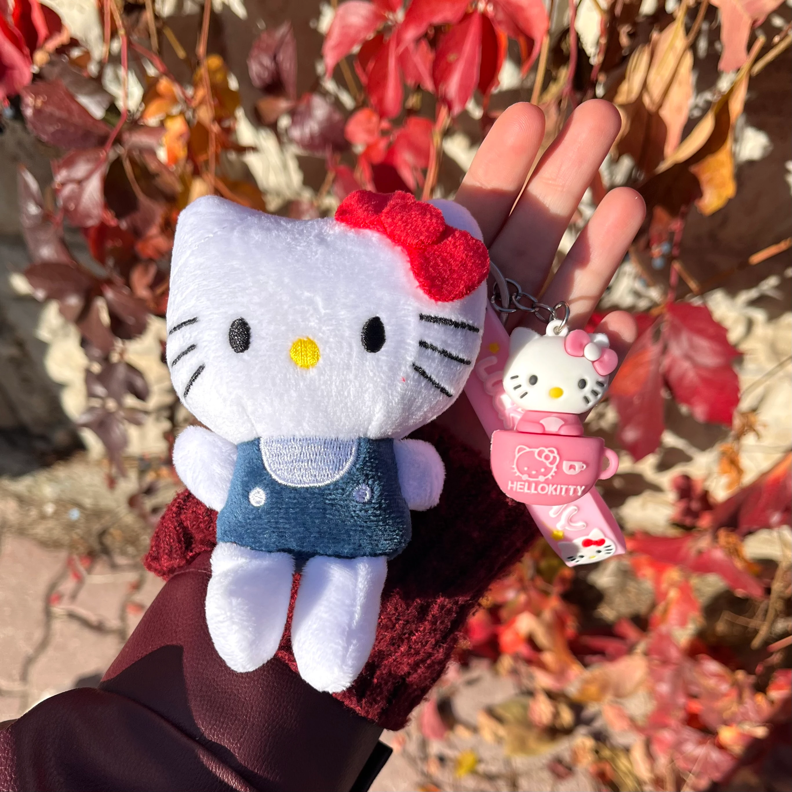 Hello Kitty Set | Kelebekli Masalsı Hediye Kutusu