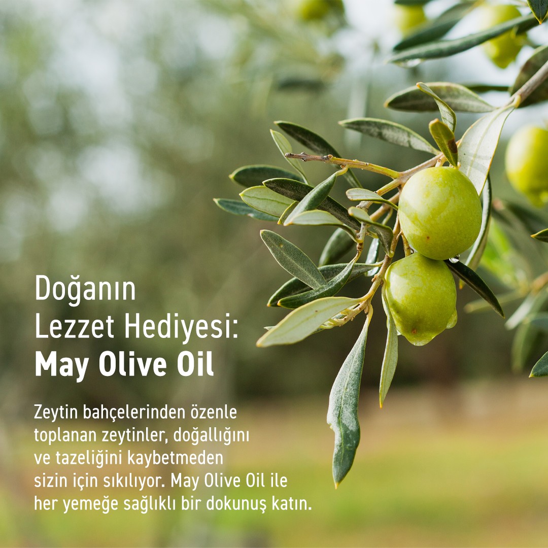 Doğal Yeşil Izgara Zeytin - 1KG | MAY Olive Oil