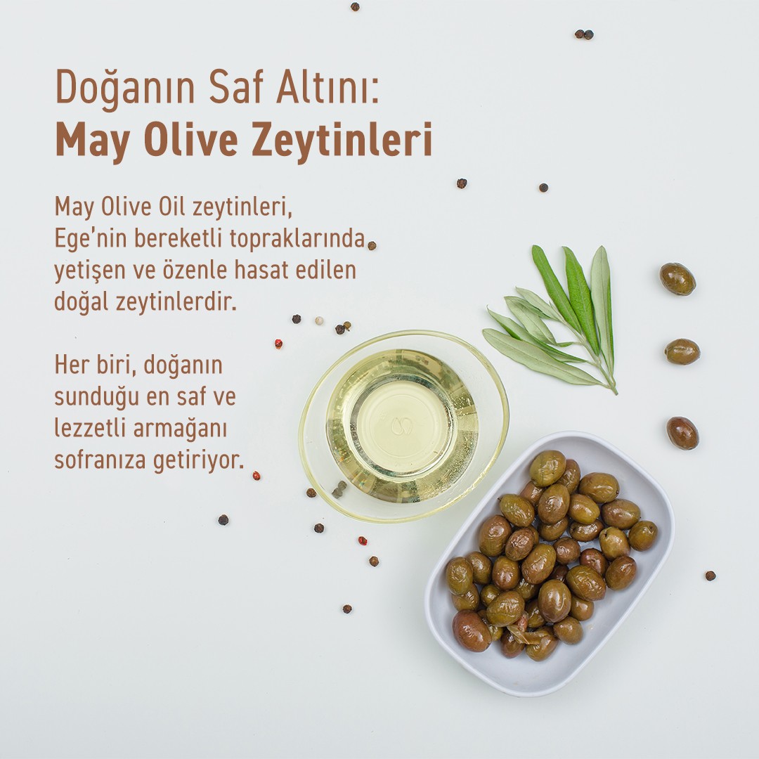 Doğal Yeşil Izgara Zeytin - 1KG | MAY Olive Oil