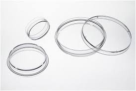 Cell and Tissue Culture Dishes, TC-treated,Sterile 60 X 15