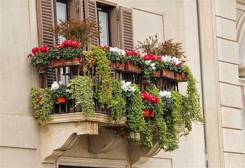 Balkon Lüx Çiçek ve Bitki Saksısı 5 Litre