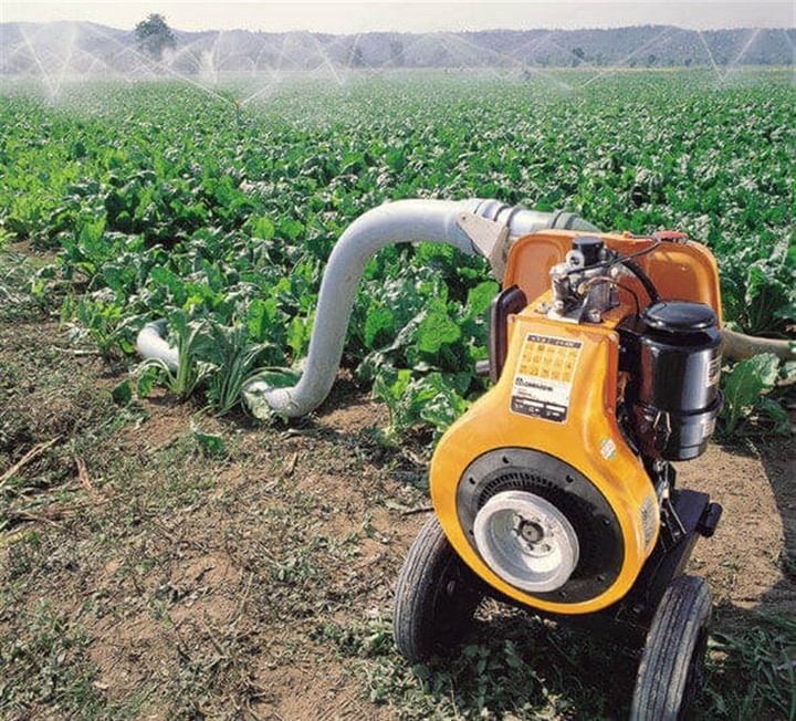 Antor 4LD-3LY 820 İpli 17HP Dizel Su Motoru