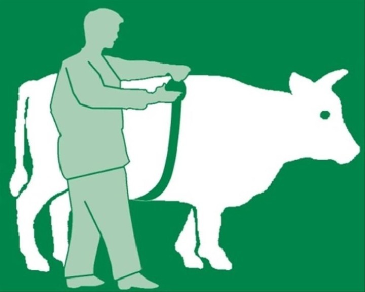 Kerbl Dana Metre Kilo Ölçer-2.5 Metre