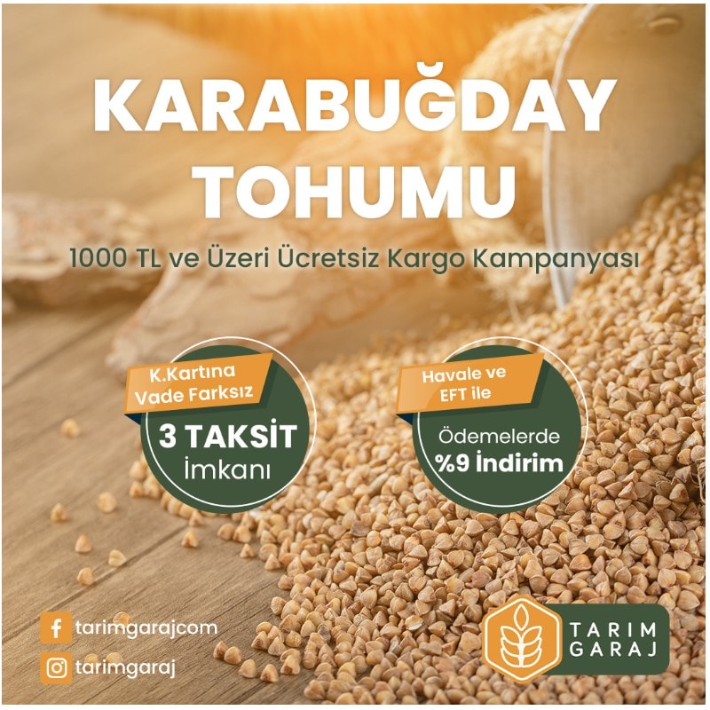 Karabuğday Tohumu 5 Kg