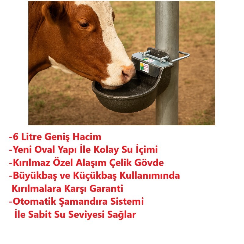 Otomatik Şamandıralı 6 Litre Kırılmaz Çelik Döküm Hayvan Suluğu-2 Adet