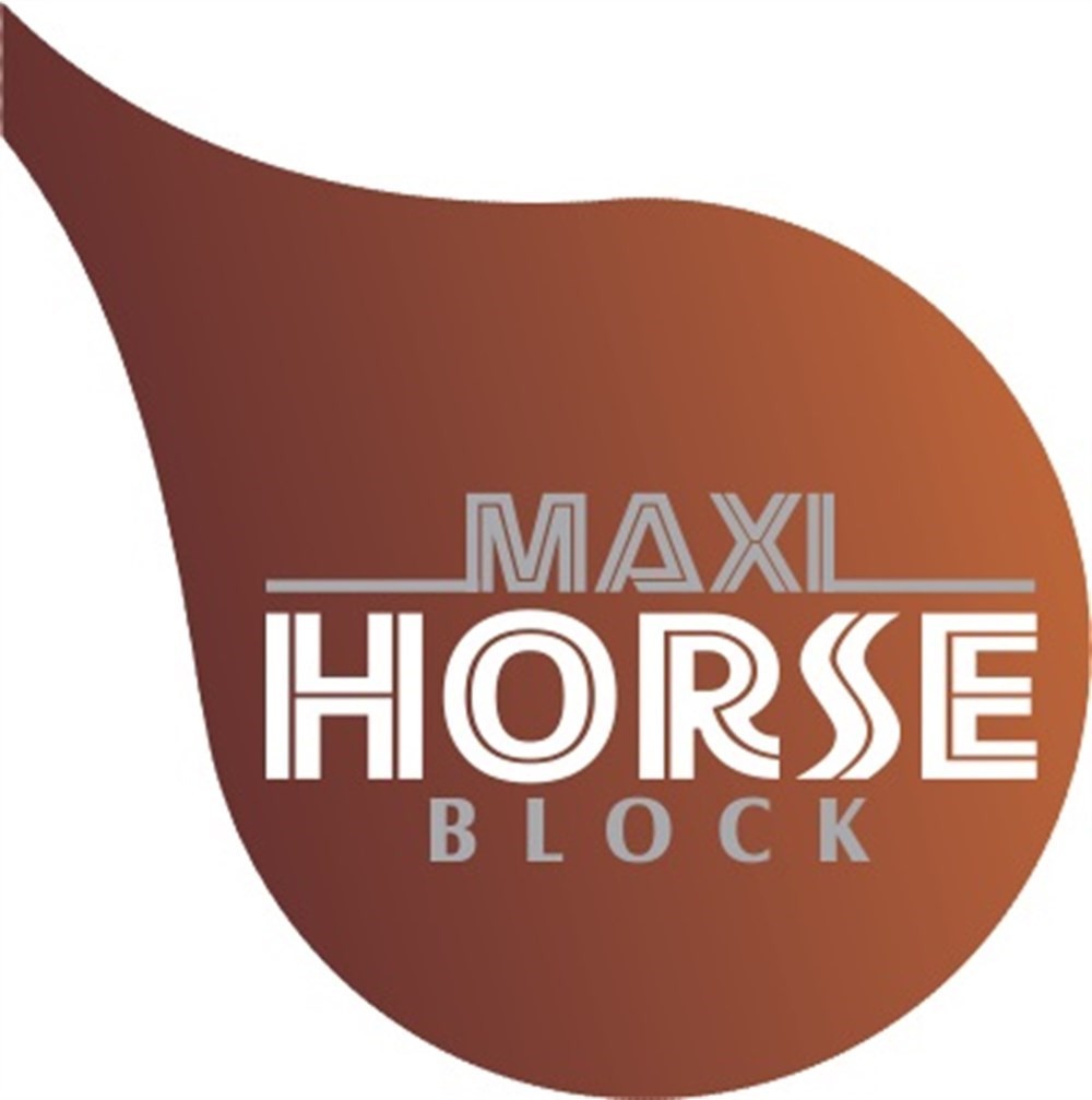 Maxi Horse Block Vitamin Takviyeli At Yalama Taşı