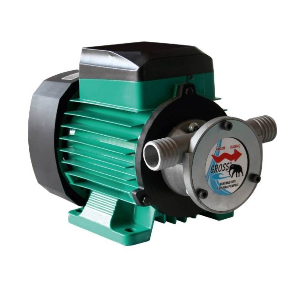 Gross 1 Inc Dıştan Çıkış Mazot ve Sıvı Aktarım Pompası 220 Volt