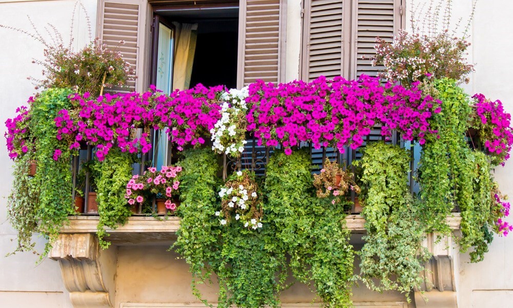 Balkon Lüx Çiçek ve Bitki Saksısı 5 Litre