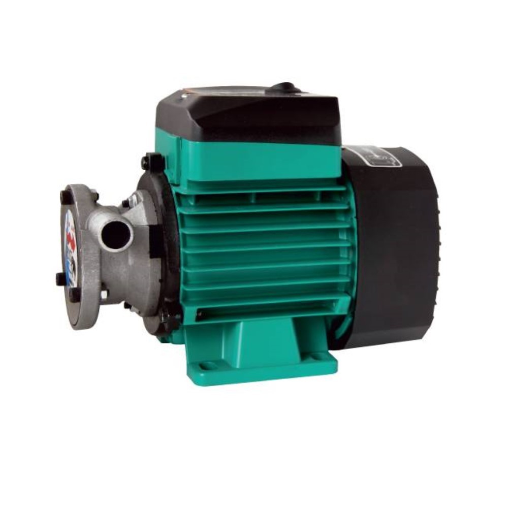 Gross 1 Inc Dıştan Çıkış Mazot ve Sıvı Aktarım Pompası 220 Volt