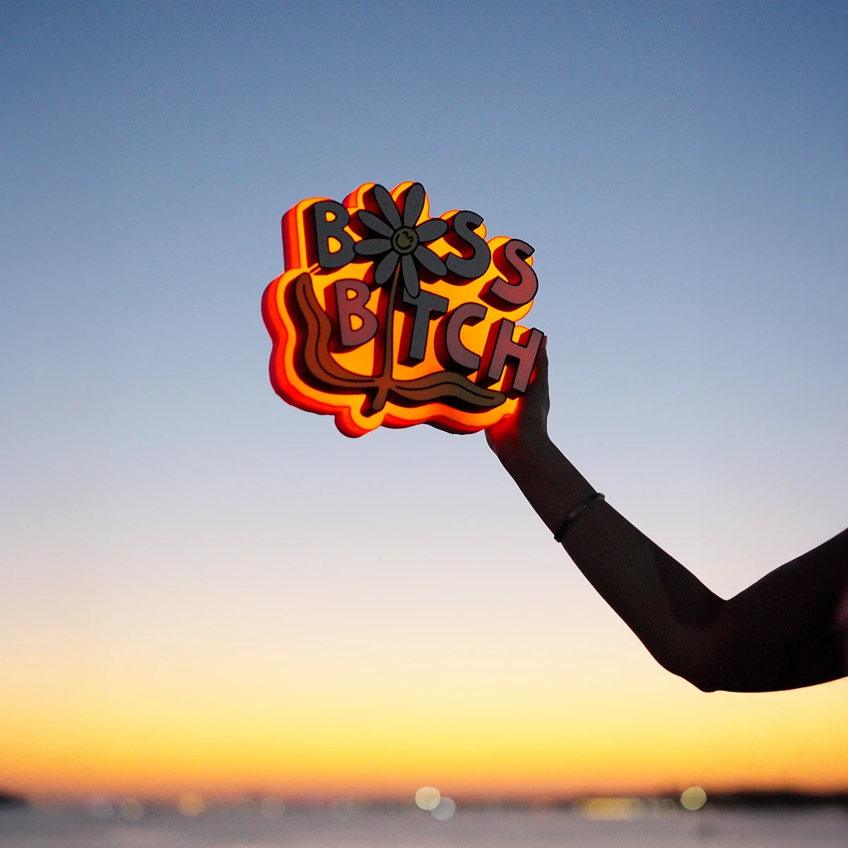 Boss Bitch - Lightbox