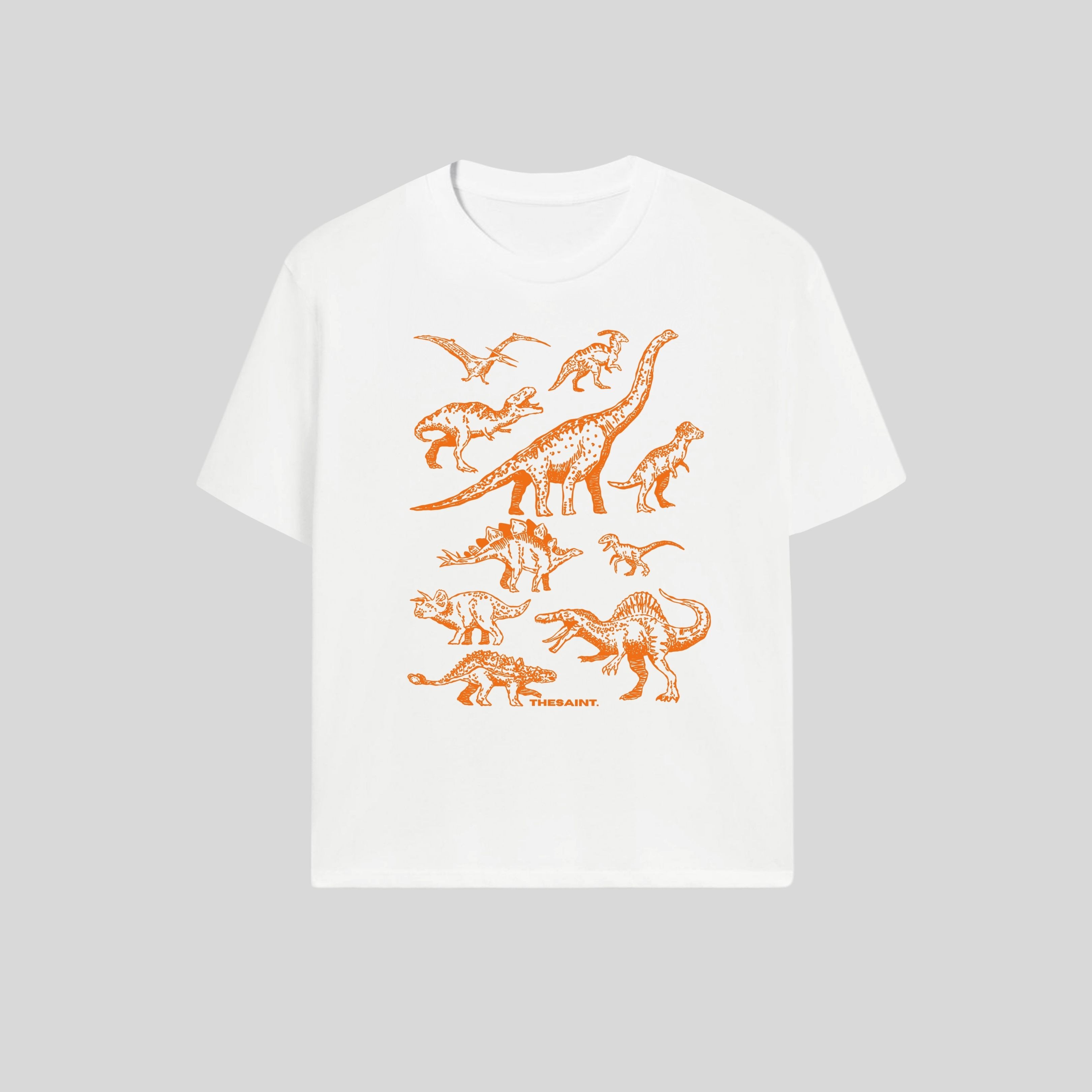 Dinorange Regular Fit T-shirt
