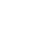 WhatsApp Icon