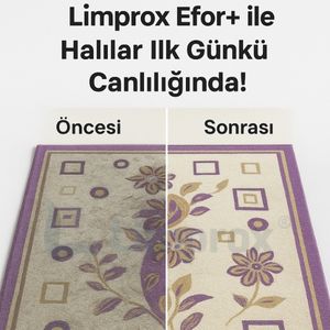 Efor+ Konsantre Halı Yıkama Şampuanı