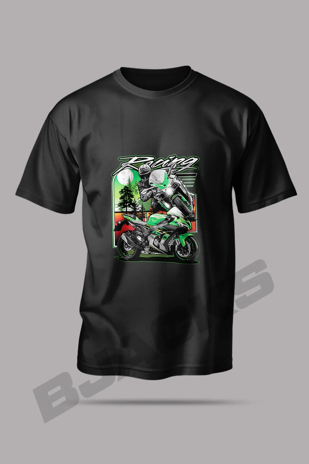 kawasaki-racing2.jpg