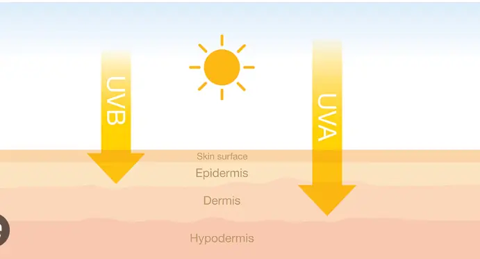 UVA ve UVB ışınlarının cildin alt ve üst katmanlarına verdiği hasarı gösteren karşılaştırmalı analiz görseli.