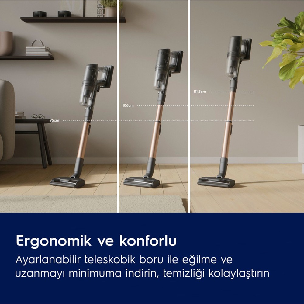 Electrolux EP82AB25UG 800 Animal Şarjlı Dikey Süpürge