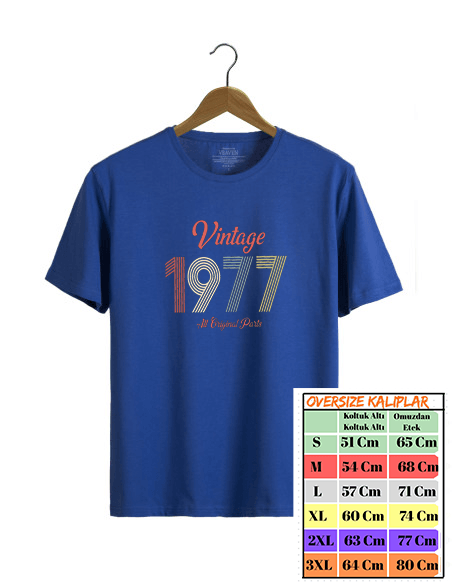 Vintage 1977 Baskılı Tshirt image
