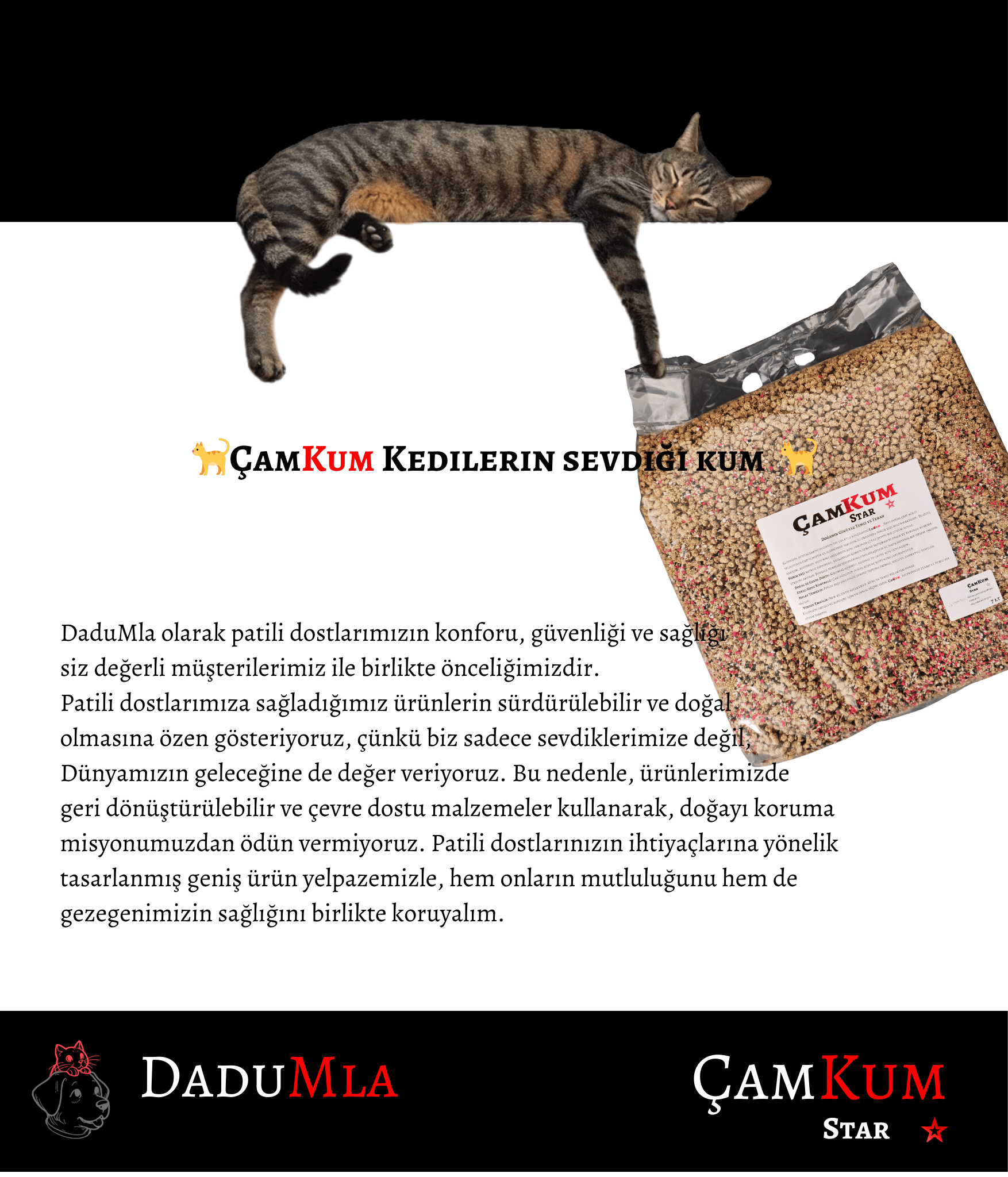 ÇamKum Doğal Kedi Kumu