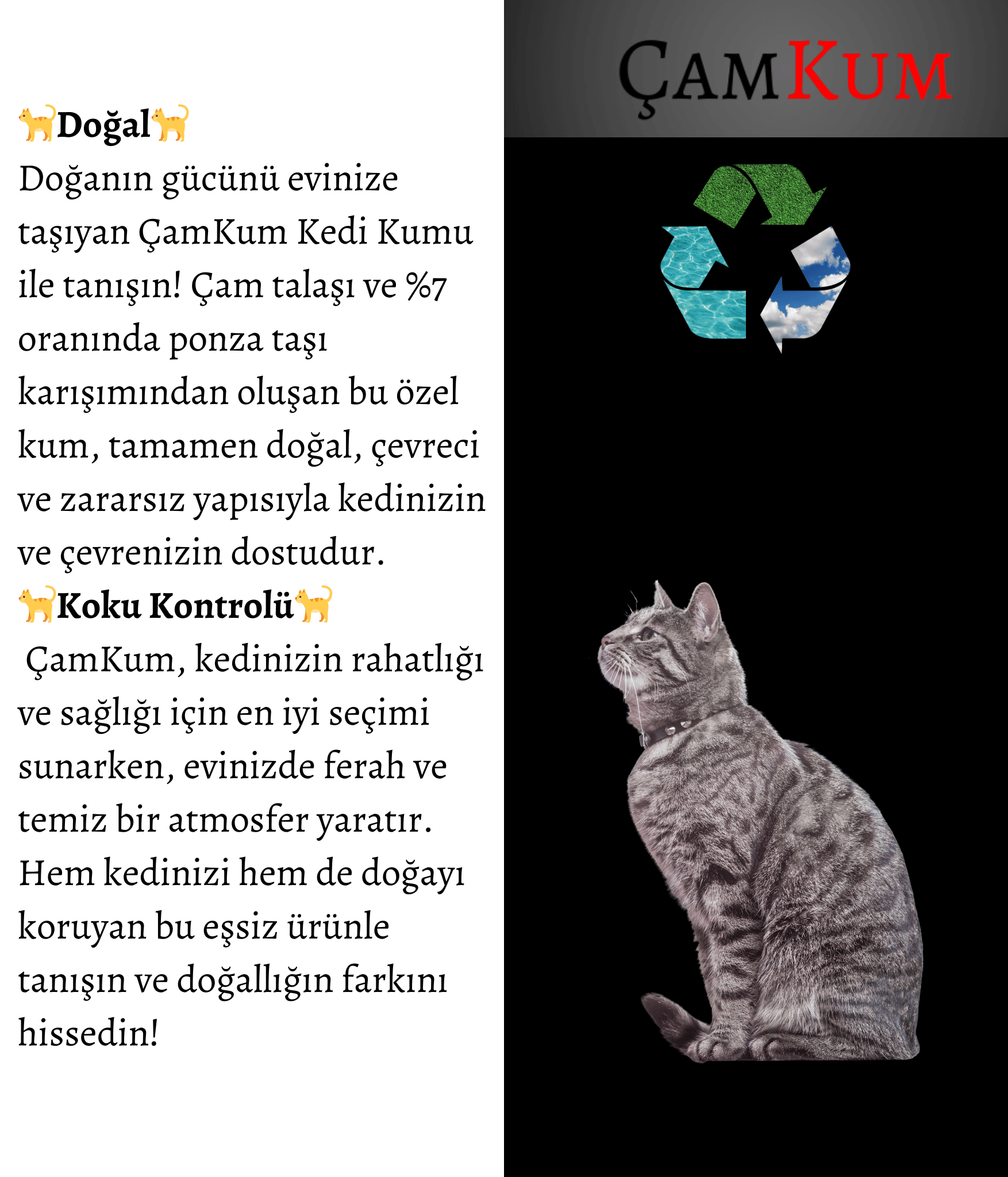 ÇamKum Furry Star Tozsuz ve Topaklanan Doğal Kedi Kumu 10 lt