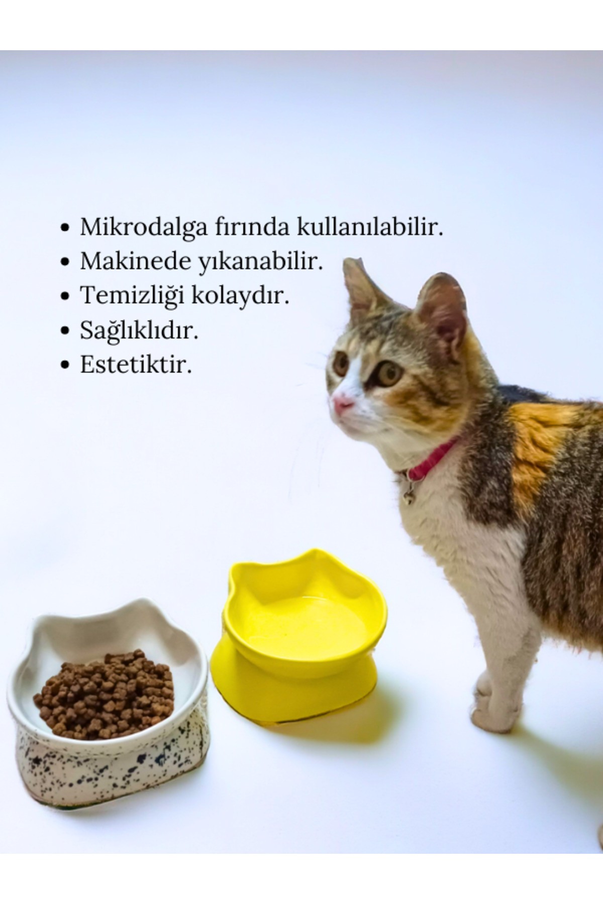 Seramik Kedi-Köpek Eğimli Ve Yüksek Mama-Su Kabı