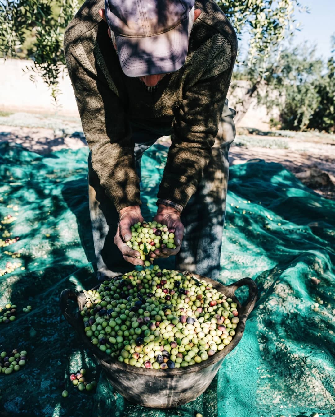 Doğru Zamanda Hasat