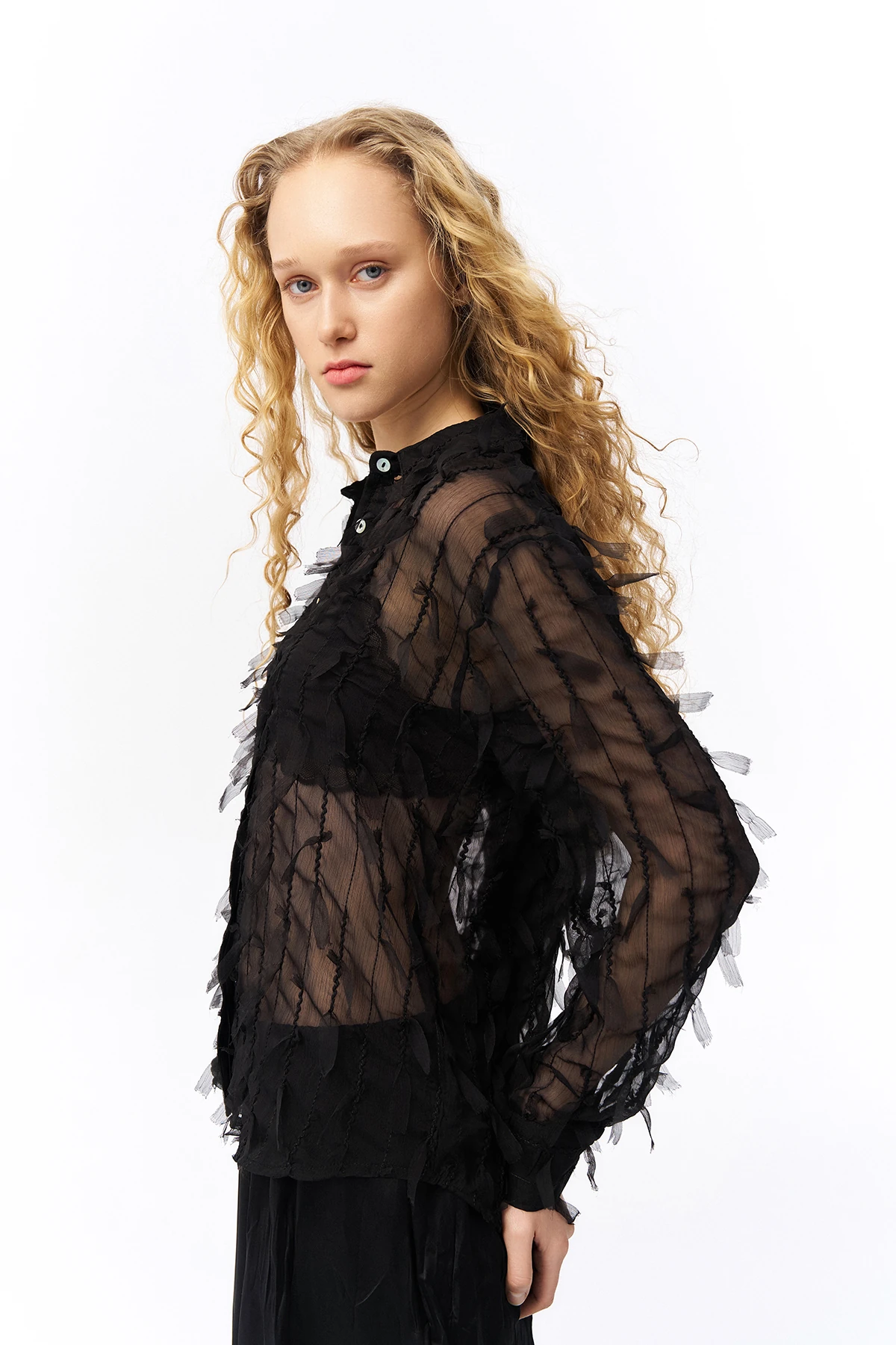 Quzu Tüy Detaylı Şifon Gömlek Siyah