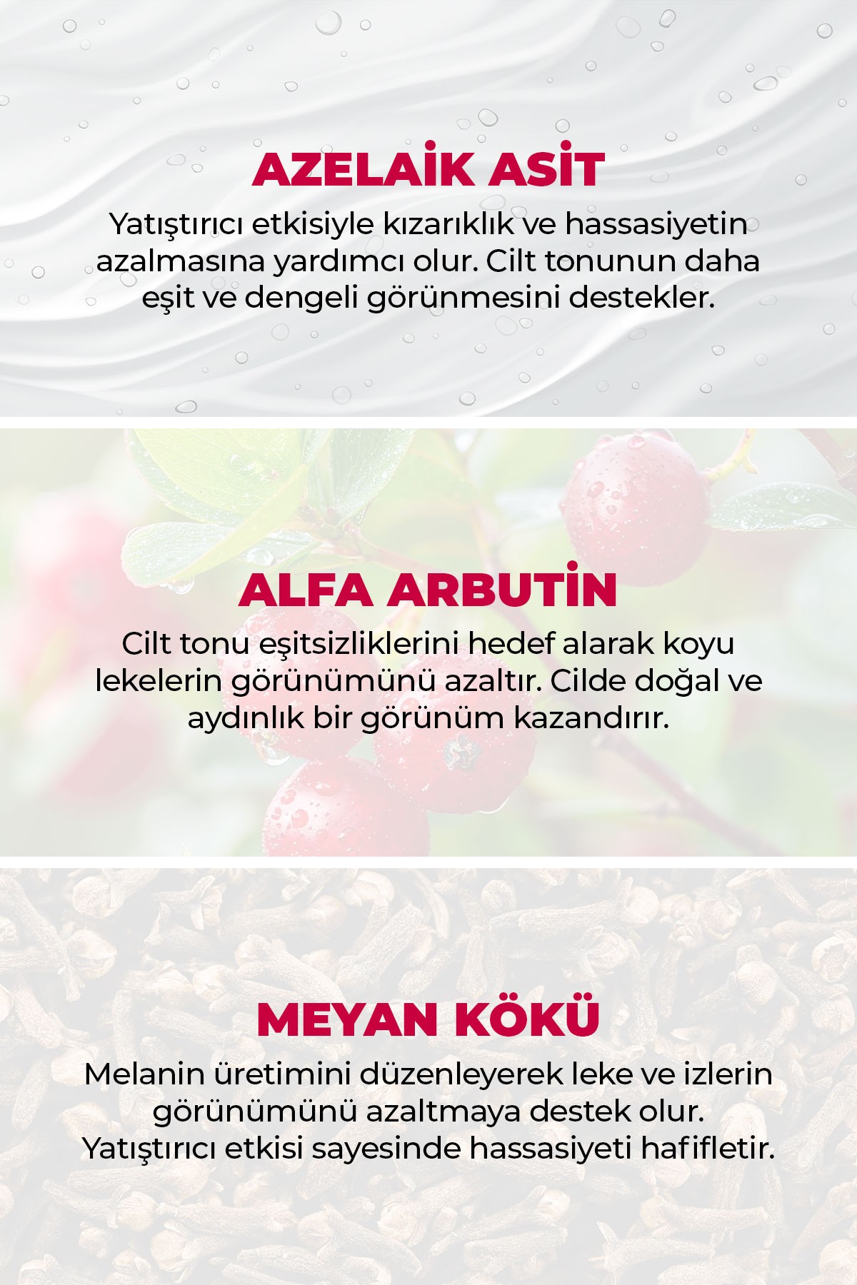 Leke Karşıtı Serum 30 ml (%10 Azelaik Asit + Alfa Arbutin)
