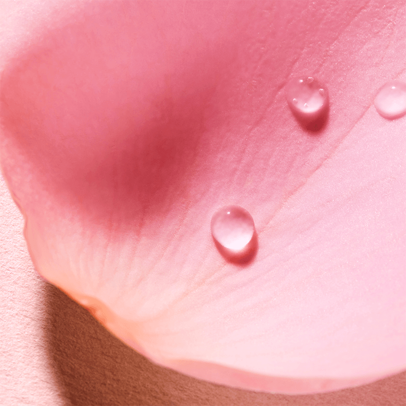 Nuxe Very Rose Parfume Sprey 100 ml
