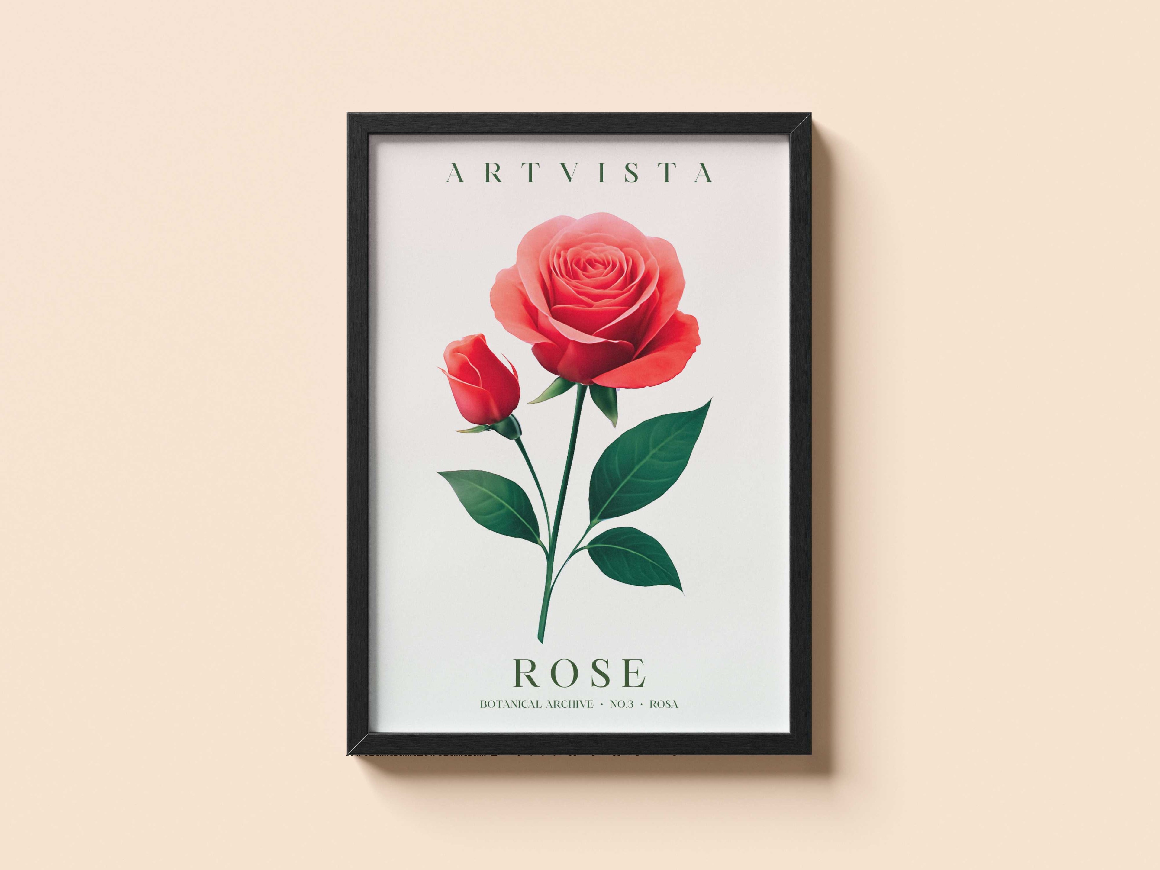 Rose Flower Poster – Gül Çiçek Poster
