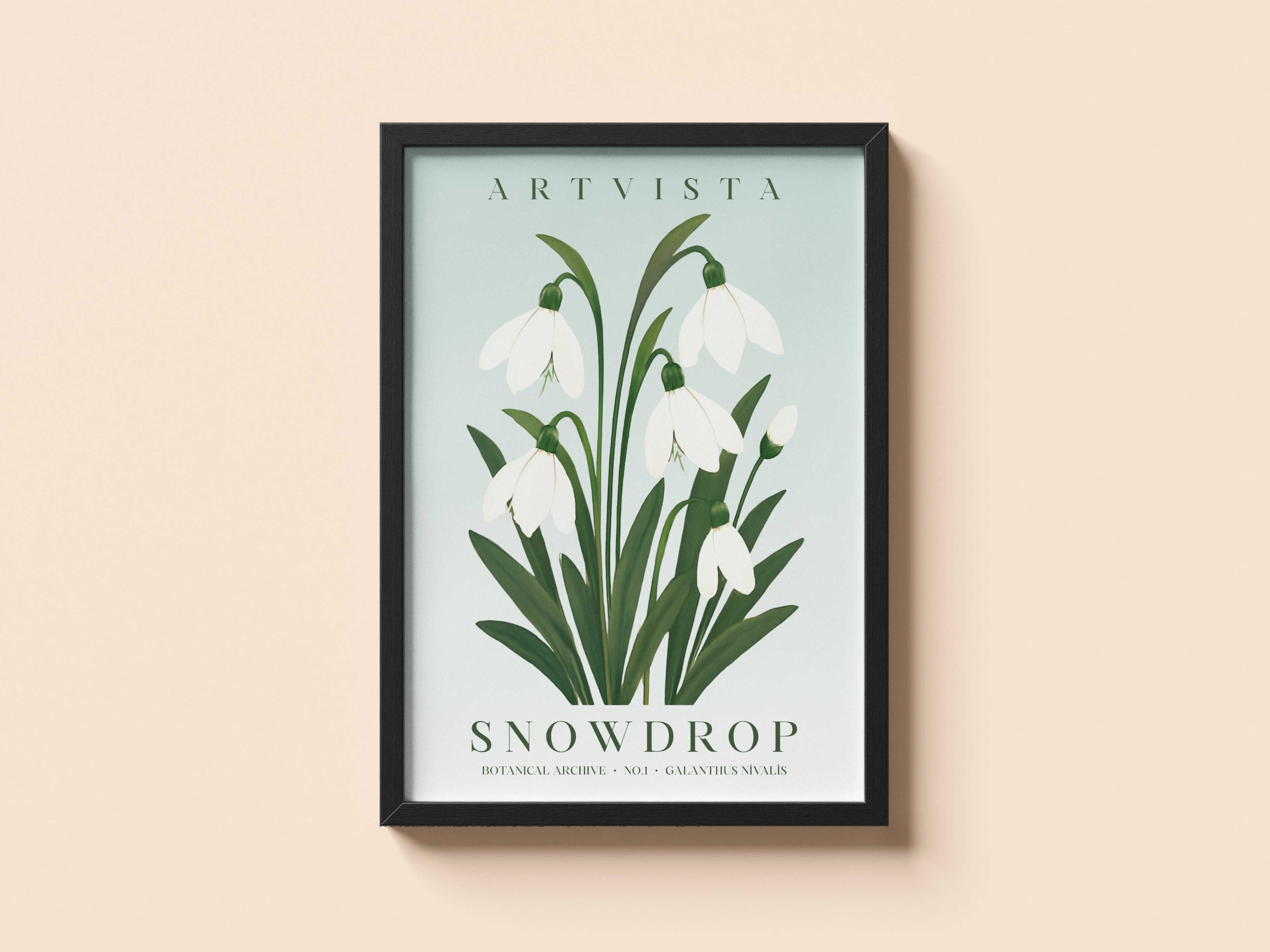 Snowdrop Flower Poster – Kardelen Çiçek Poster