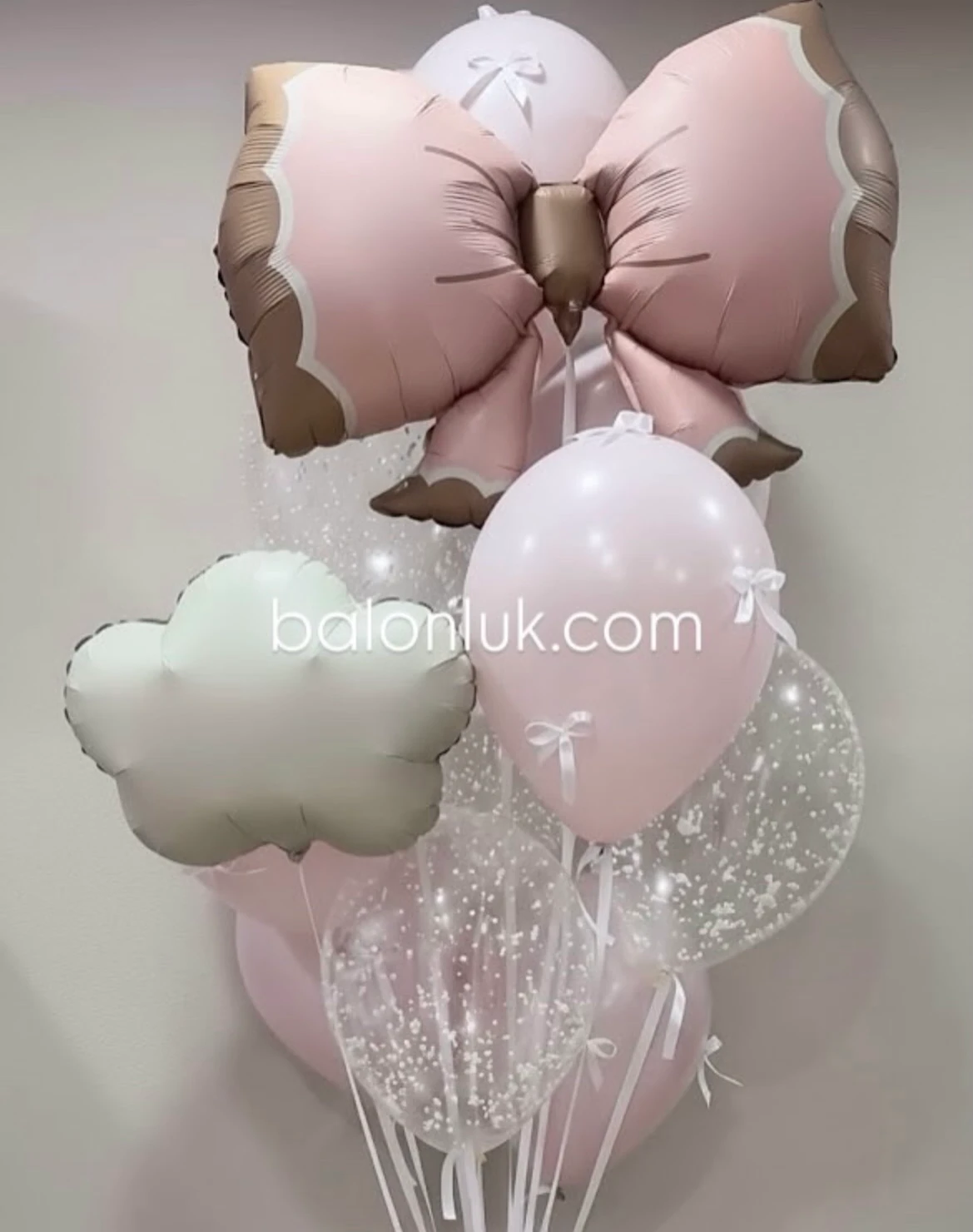 Pembe Fiyonk ve Bulut Konsept