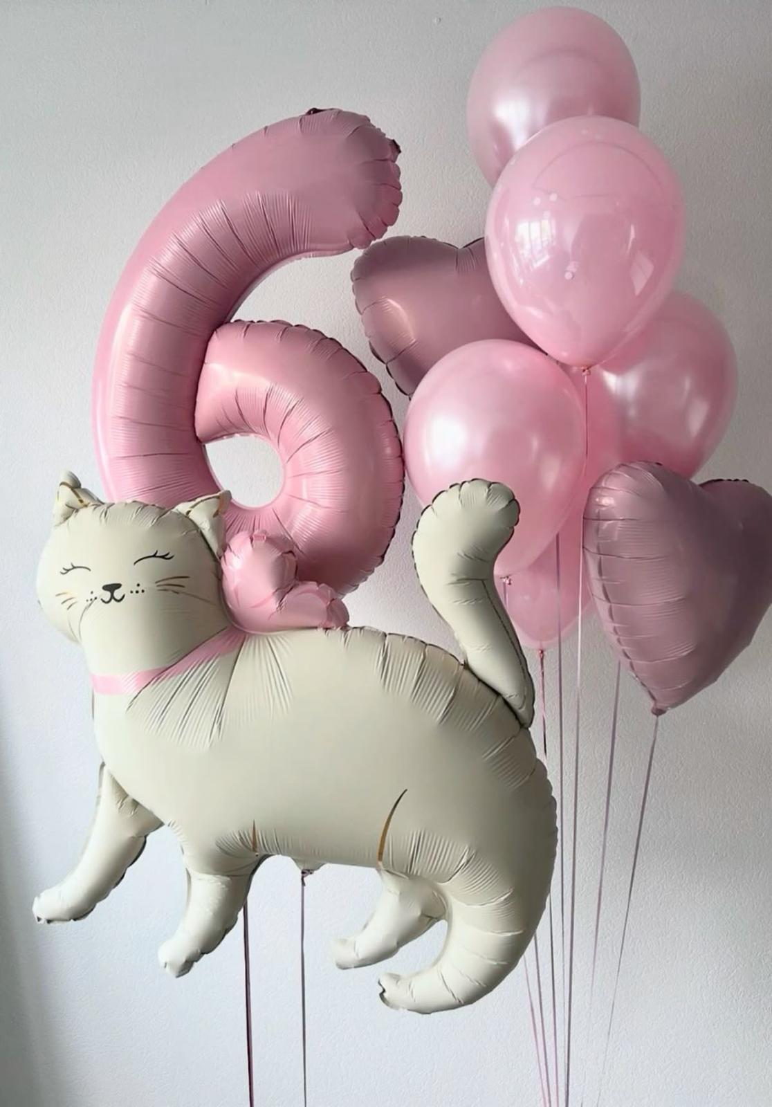Ayaklı Beyaz Kedi Pembe Rakam Konsept