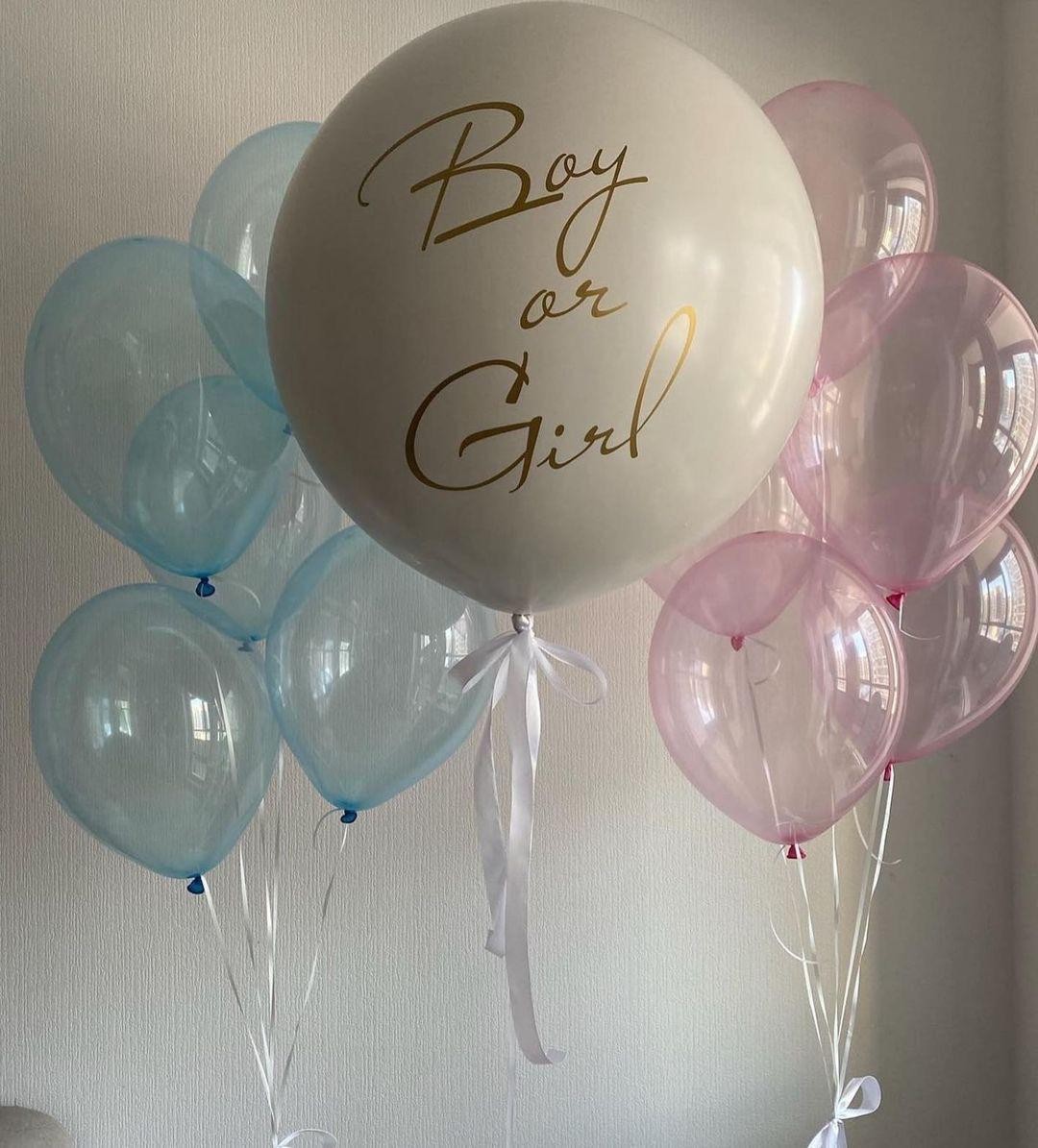 Cinsiyet Partisi Pembe Mavi Balon Konsept