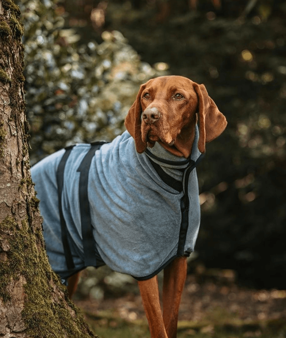 MicroLux® Köpek Bornozu