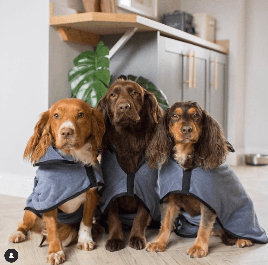 MicroLux® Köpek Bornozu