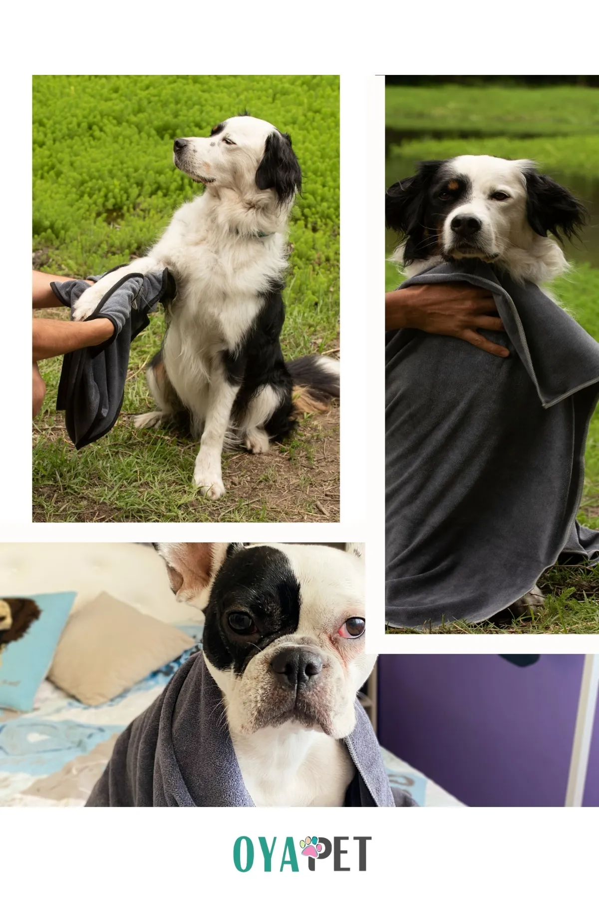 MicroLux® Köpek Havlusu