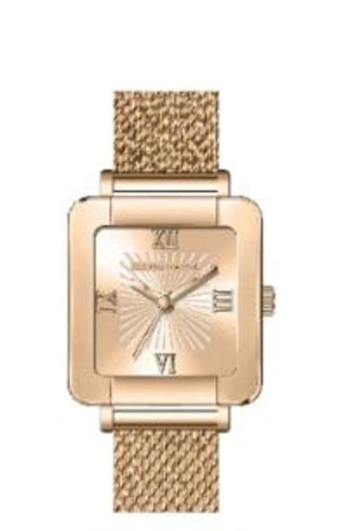 U.S. Polo Assn. USPA2097-06 Kadın Kol Saati