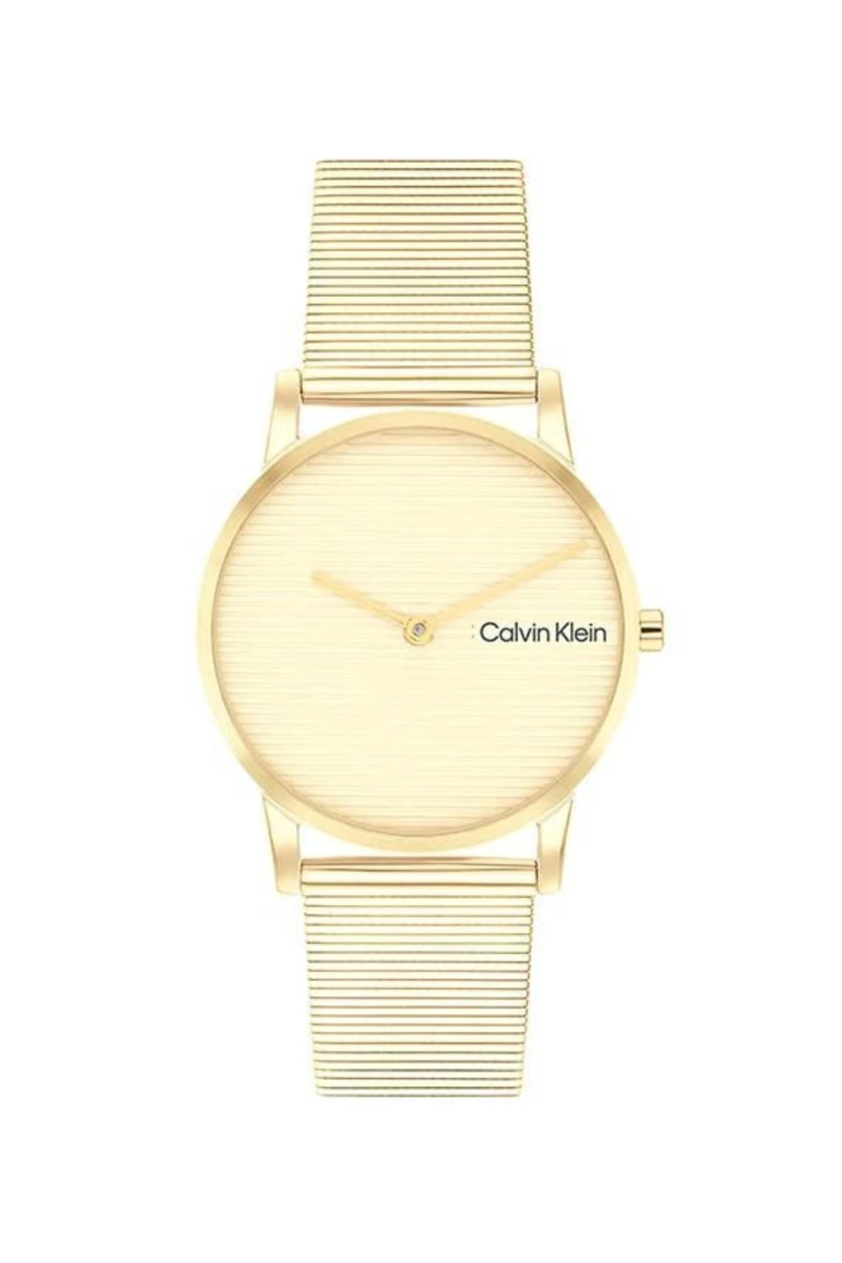 Ck25100035 Kadın Kol Saati