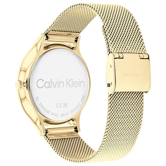 CK25100005 CALVIN KLEIN KOL SAATİ