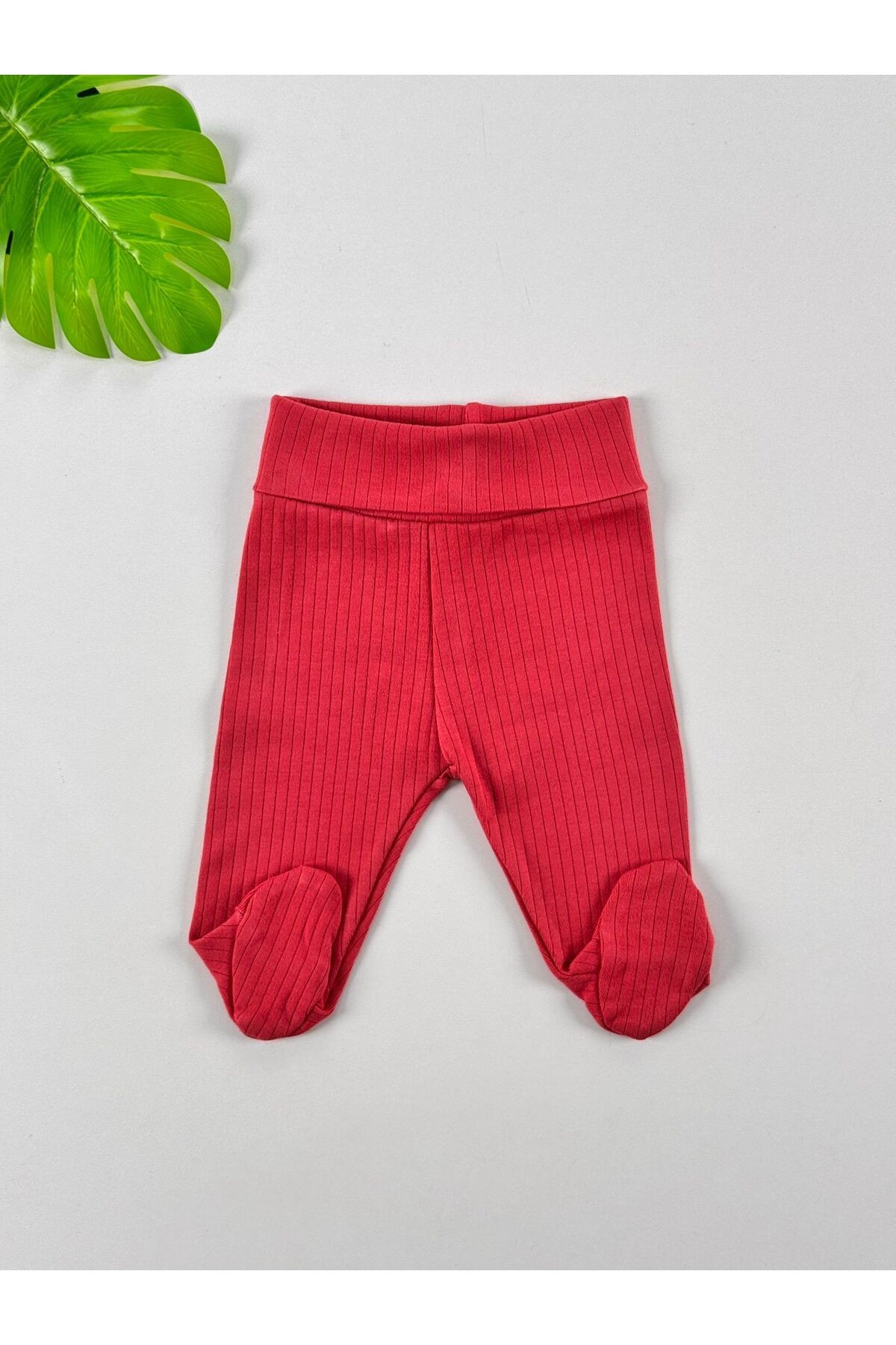 3'lü %100 Pamuklu Raporlu Unisex Basic Patikli Bebek Pantolon