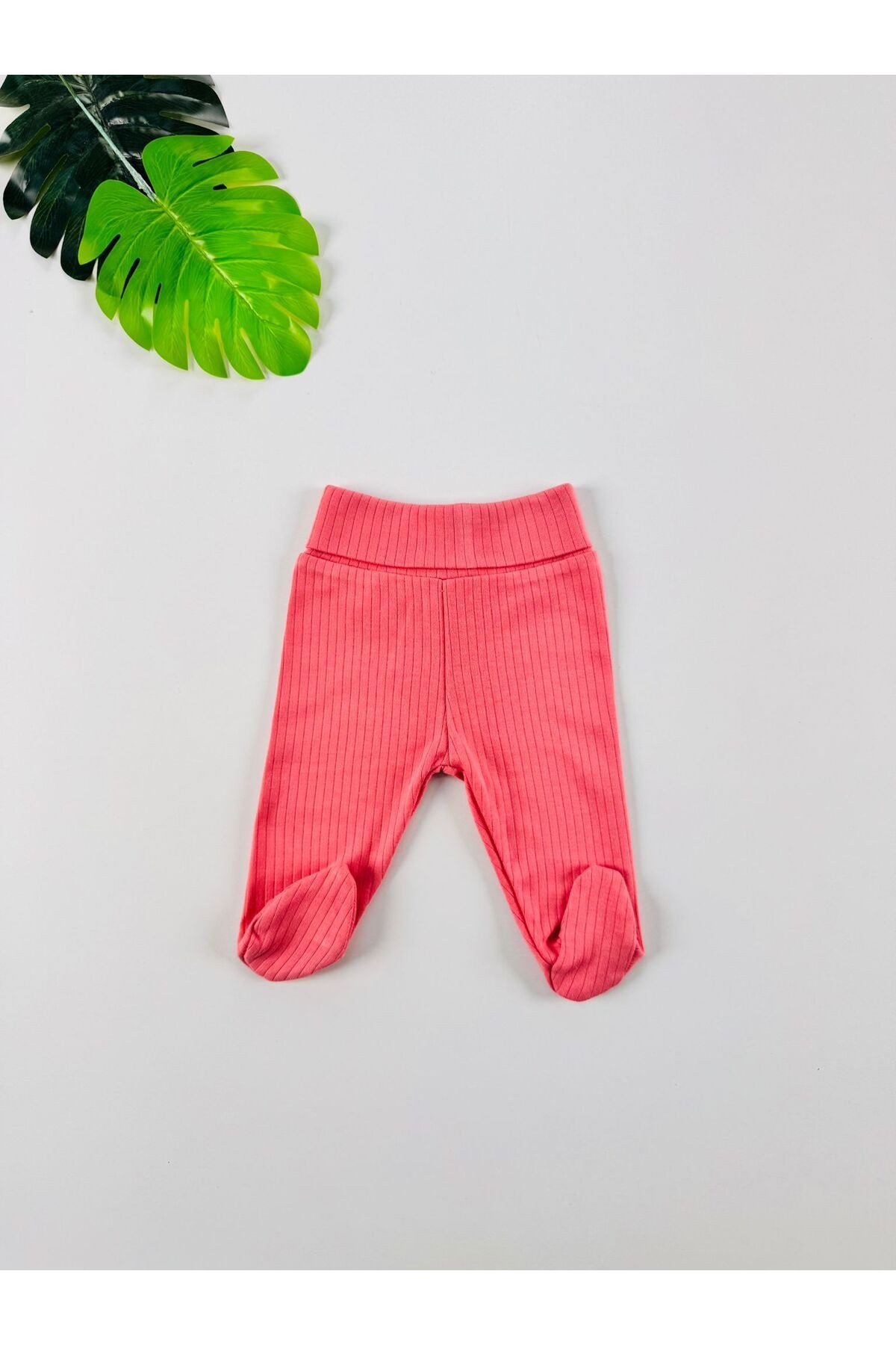 3'lü %100 Pamuklu Raporlu Unisex Basic Patikli Bebek Pantolon