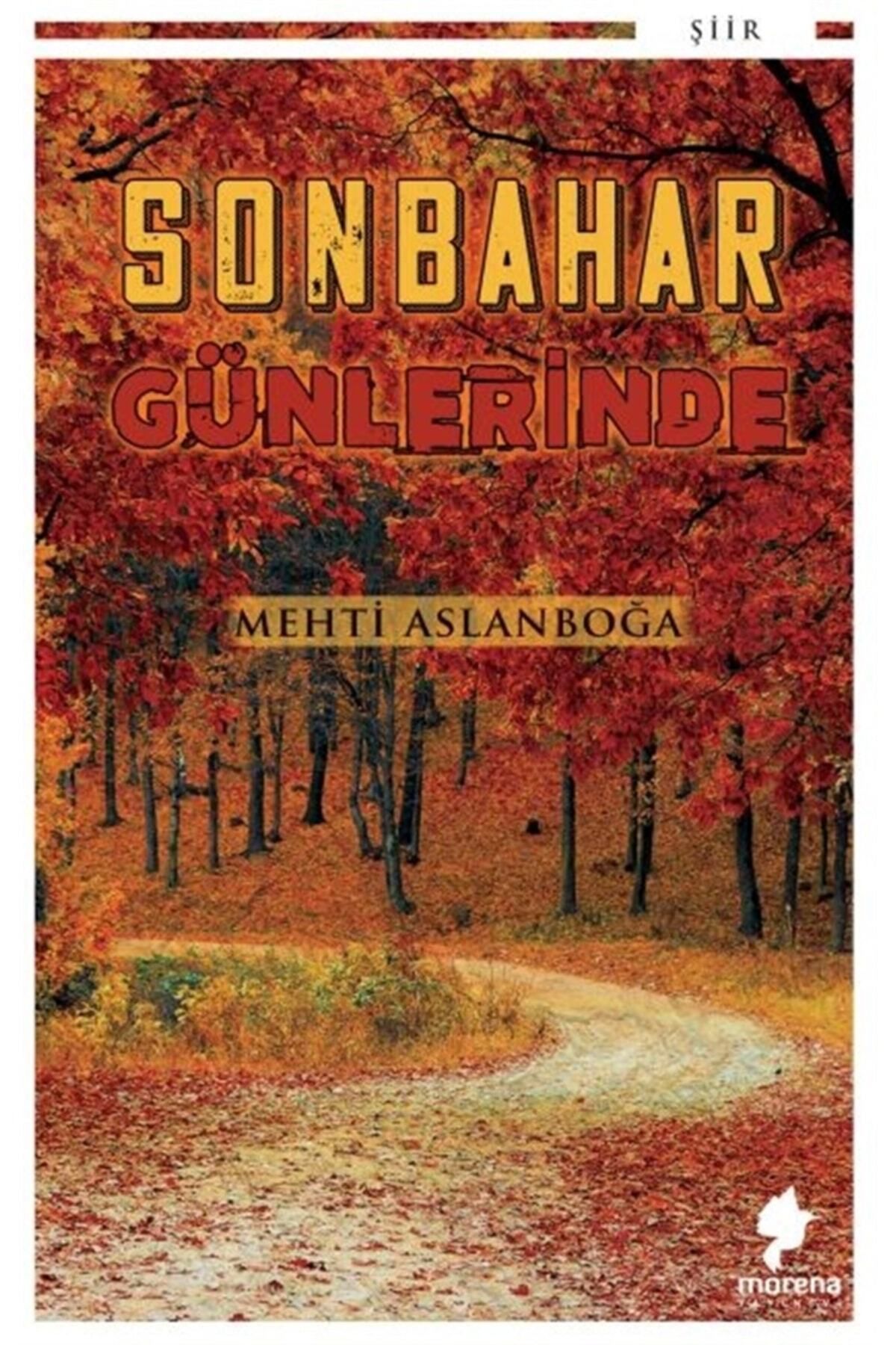 Sonbahar Günlerinde - Mehti Aslanboğa 9786057442840
