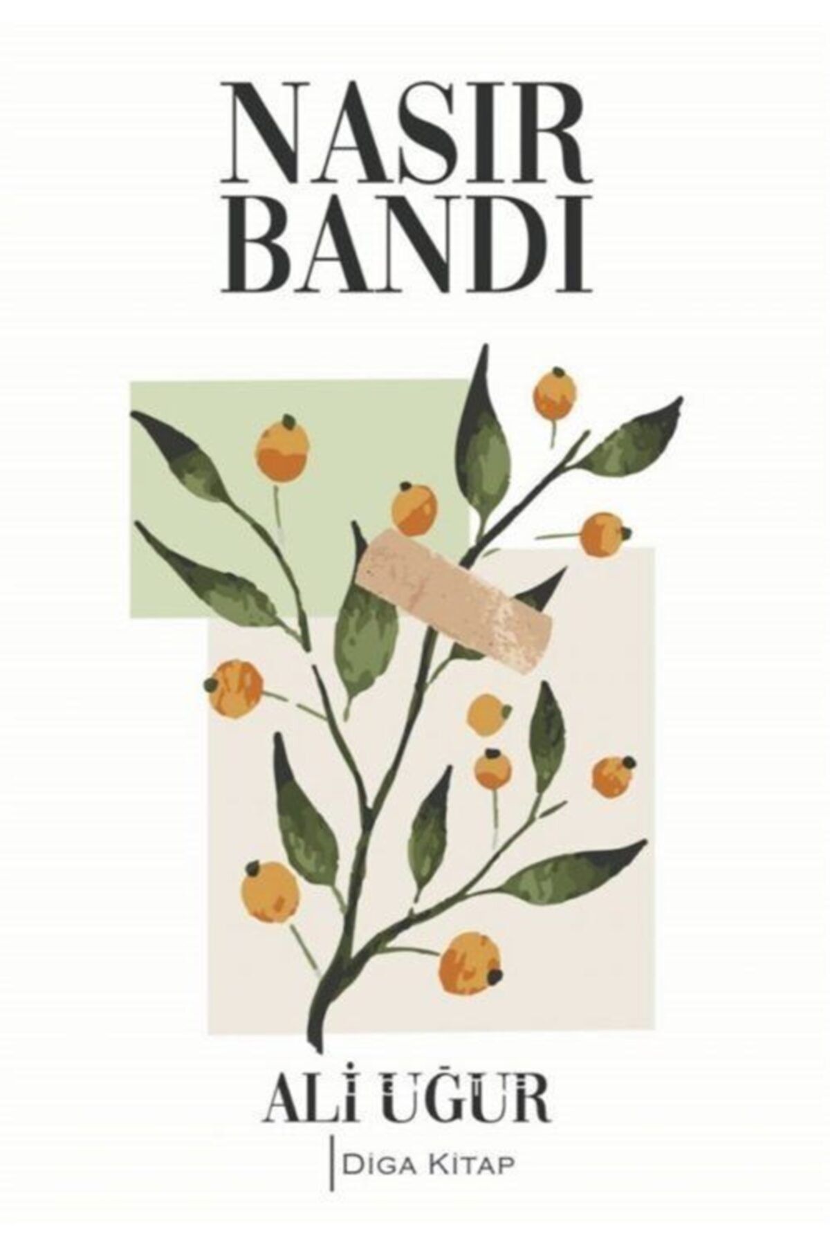 Nasır Bandı