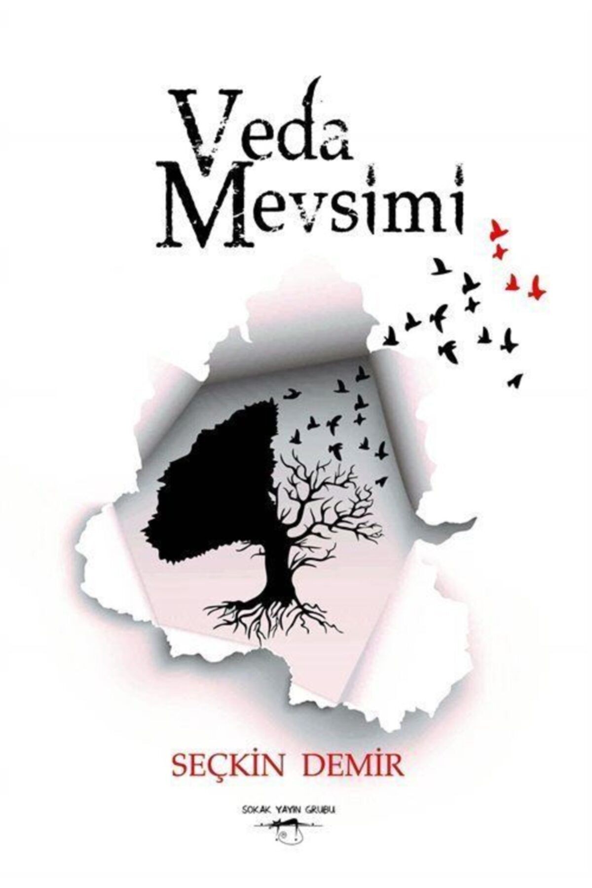 Veda Mevsimi
