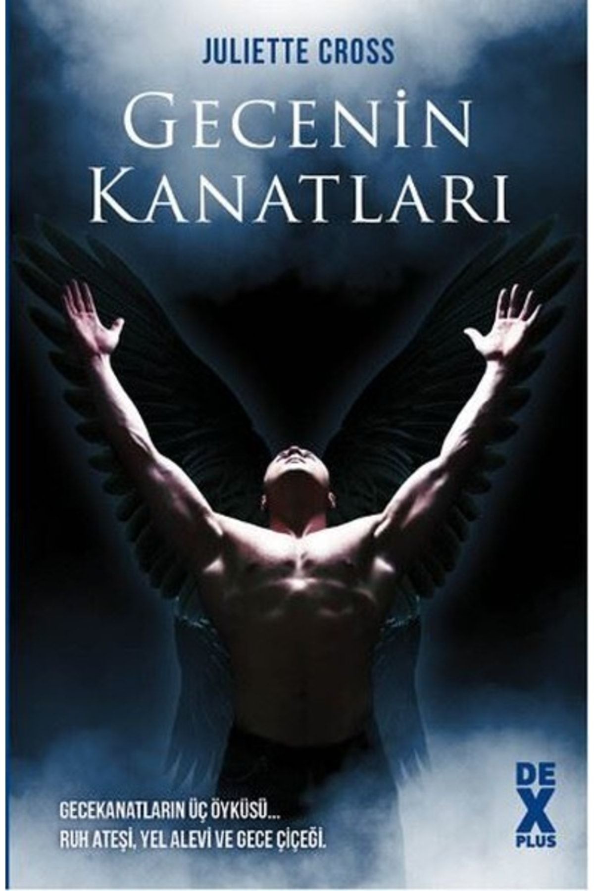 Gecenin Kanatları, Juliette Cross