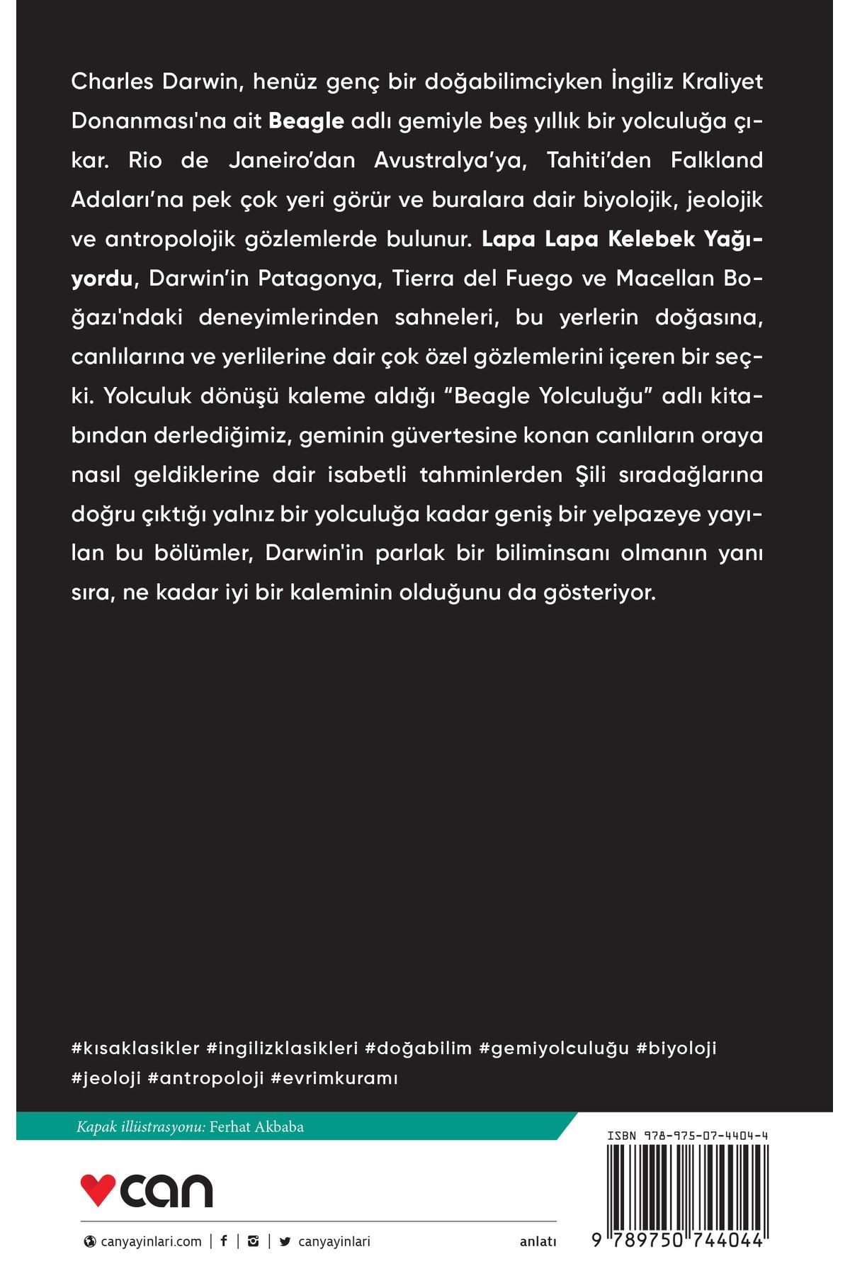 Lapa Lapa Kelebek Yağıyordu