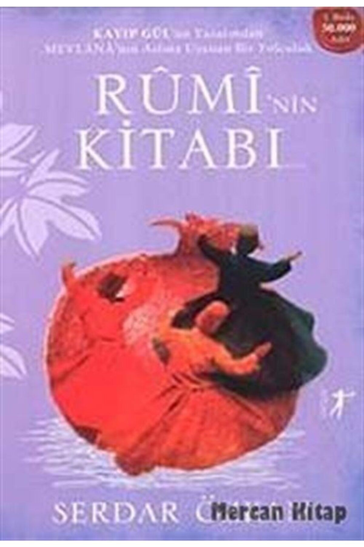 Rumi'nin Kitabı