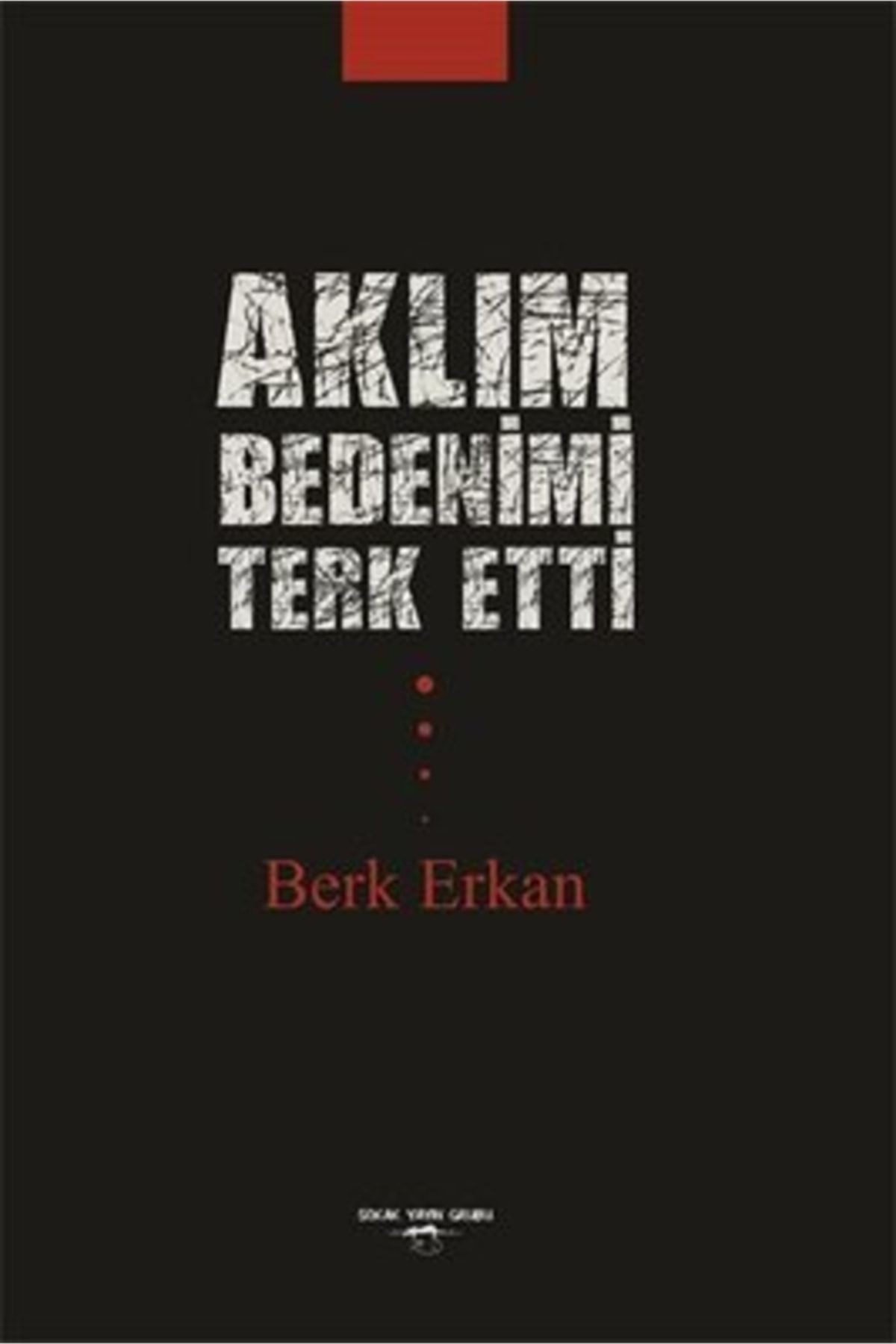 Aklım Bedenimi Terk Etti / Sokak Kitapları Yayınları / Berk Erkan