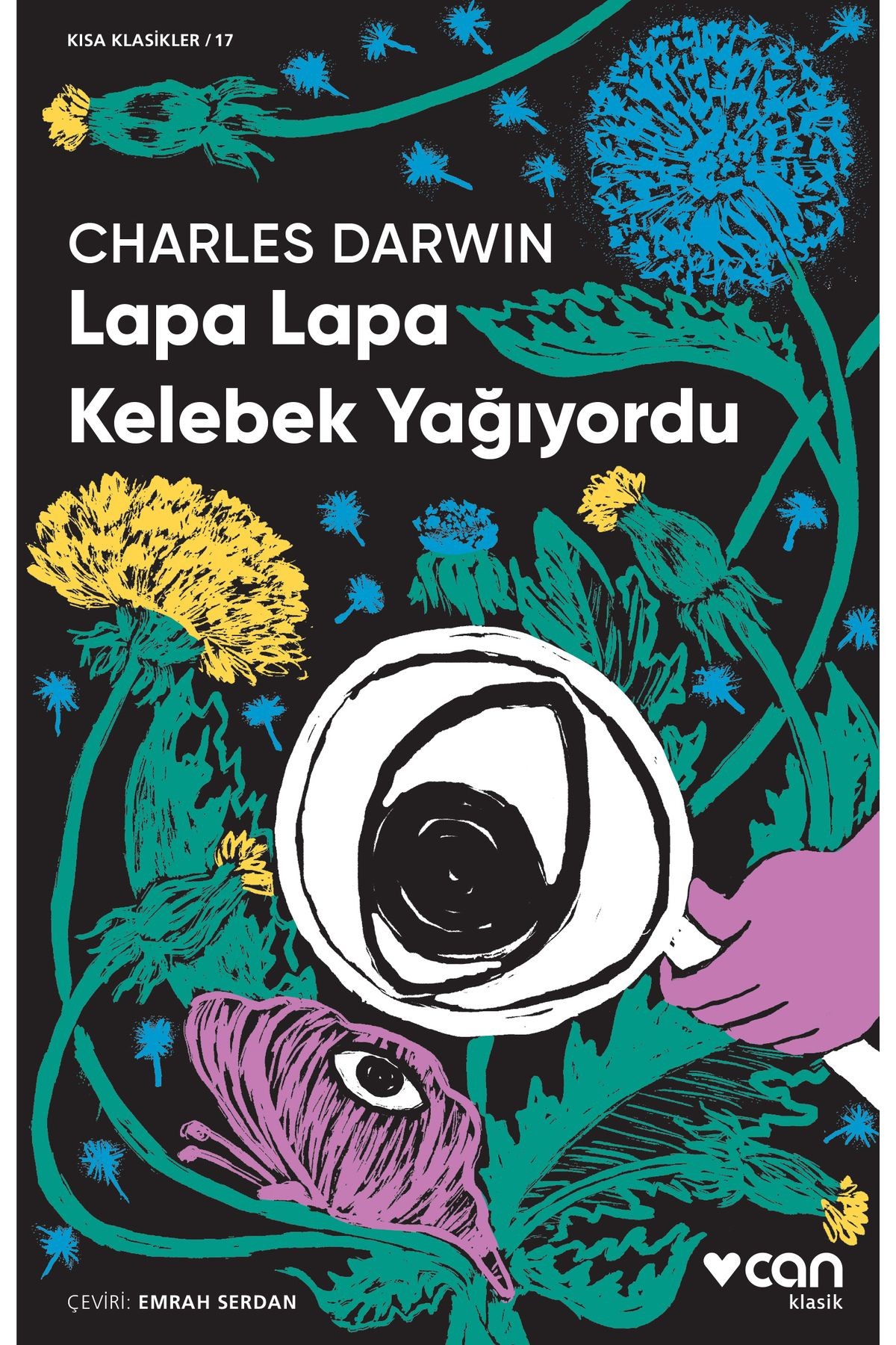 Lapa Lapa Kelebek Yağıyordu